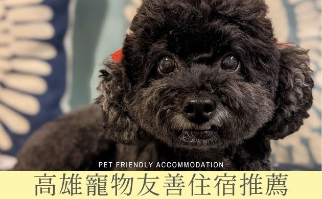 高雄寵物友善住宿